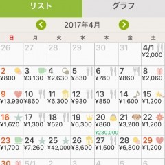 pc連携できる神アプリおカネレコ、自宅でも外出先でも家計簿チェック！のサムネイル