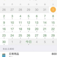 毎日家計簿は見やすさと使いやすさを両立した続けられる神アプリのサムネイル