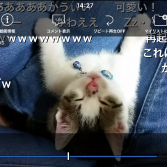 日本のカルチャー発信源！？感動動画もネタ動画もここに来れば一緒に楽しめる！niconico公式アプリ『niconico (ニコニコ動画／ニコニコ生放送)』のサムネイル