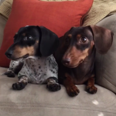 誰でも簡単！面白動画がお手軽に作れるお役立ち無料アプリ！「Boomerang from Instagram」のサムネイル