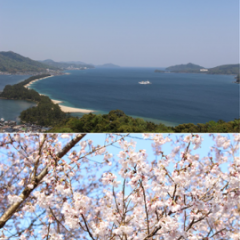 さらに高度な写真編集・加工をお望みの方必見！！無料で使えるハイクオリティアプリ「Adobe Photoshop Express」のサムネイル