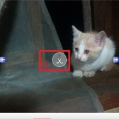 ニュースアプリ：正方形さん - Instagram 用に簡単レイアウト＆トリミング＞紹介と使い方のサムネイル