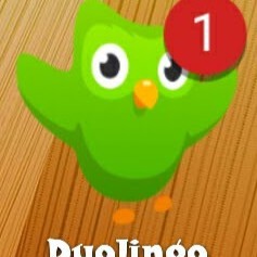 英語力アップに！英語学習の神アプリDuolingoをご紹介！のサムネイル