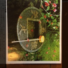 紙焼き写真をキレイにスキャンできるアプリ！のサムネイル