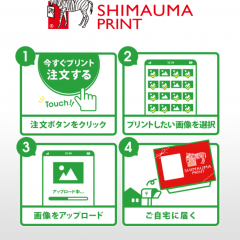 高品質で低価格ネットプリントサービス『しまうま写真プリント』のご紹介のサムネイル