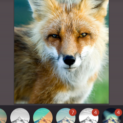 なぞって加工「Repix - 想像力を刺激するフォトエディタ」のサムネイル