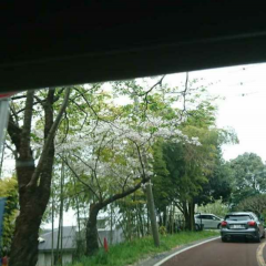 手軽な動画投稿アプリ「Framy - Live Your Dreams」のサムネイル