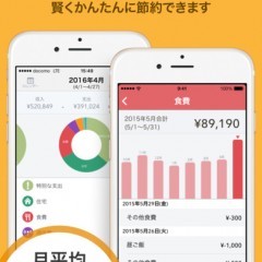 複数口座の登録で資産管理がしやすい！おすすめの家計簿神アプリのサムネイル