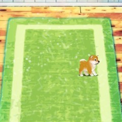 まったり柴犬育成はいかが？癒しの子犬育成ゲーム〜柴犬編〜のサムネイル