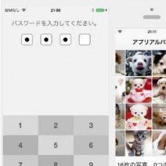 便利で使いやすい写真・ビデオ撮影アプリ「偽装ビデオ (ヤヌスビデオ)」のサムネイル