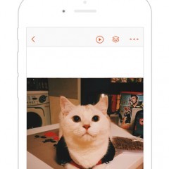 GIF viewerでGIF画像を見て友達と楽しもう！のサムネイル