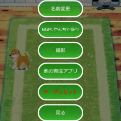 可愛く放置系「癒しの子犬育成ゲーム〜柴犬編〜（無料）」のサムネイル
