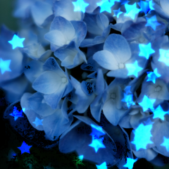 キラキラ加工ならおまかせ「BokehPic-かわいいフィルターが満載の写真加工カメラアプリ!無料で写メをぼかして画像編集！」のサムネイル