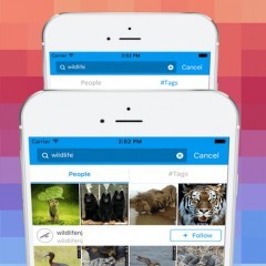 写真やビデオを楽しむシンプルなスタイル！アプリ「Instapics for Instagram」で快適なインスタライフを送ろう！のサムネイル