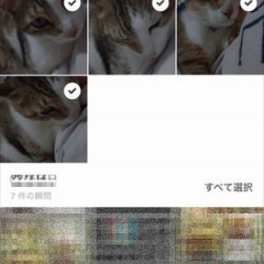 「Flipagram」で、手軽に写真や音楽や動画を盛り込んだスライドショーを作ろうのサムネイル