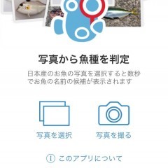 「魚みっけ」でわからない魚の名前がすぐわかる！釣り好き必見の図鑑アプリ！のサムネイル