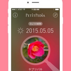 「美しい写真図鑑 - にほんの植物 - プチペディア」植物の名前や生態がすぐにわかる本格的な図鑑アプリのサムネイル