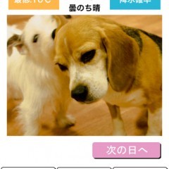 「わんこ天気」可愛い犬の写真に癒される天気予報アプリのサムネイル