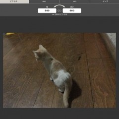 [無料]画像サイズー４種類の単位で画像のサイズを楽々変更！のサムネイル