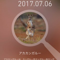 「せかいの動物」を使えば動物博士になれるかも？！動物図鑑アプリ！のサムネイル