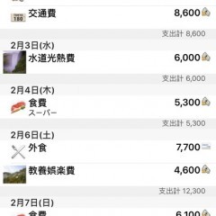 お小遣い帳管理アプリかんたん家計簿こづかい帳、最短2タップの簡単操作！のサムネイル