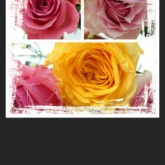 プロ級の写真加工が無料で簡単にできちゃう写真コラージュアプリ！Mixooのサムネイル