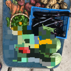 「写真位置情報エディタ」で写真の位置情報を簡単変更！撮影場所を正確に記録し、プライバシー保護にも便利な無料編集アプリのサムネイル