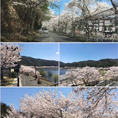 「全自動写真ビューア ViewingFun!」溜まった写真を日付とタイムラインで楽しく表示！のサムネイル