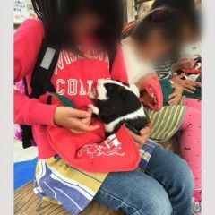 「eluv エラブ－アルバム整理＆写真コラージュ合成アプリ」で写真を簡単に整理しよう！のサムネイル