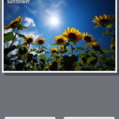 「写真のラベル (Free)」で簡単に写真にラベルを付けてみよう！のサムネイル