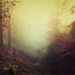 【Stackables - レイヤテクスチャ、エフェクト、マスク】でカッコいい画像を作りたい！のサムネイル