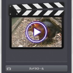 「Video Crop & Zoom - 動画でダイナミックトリミング、ズーム、回転」で動画をトリミングして動画を調整しようのサムネイル