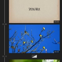 「WeVideo - ビデオエディタ、グリーンスクリーン、音楽＆FX」で動画の作成・編集にチャレンジ！のサムネイル