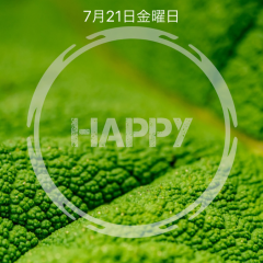 「Typorama - Text on Photo Editor, Typography Maker」デザインフォントで魅力的な画像が作れるアプリ。のサムネイル