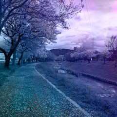 「ディザ合成 - 複数の写真をブレンドする」でオリジナルな画像を作ろう！のサムネイル