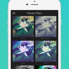 「Filtron」おしゃれな大人女子のための写真加工アプリのサムネイル