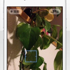 「optiCamera -写真サイズやExif、位置情報をカスタマイズ-」で簡単に写真の最適化をしようのサムネイル