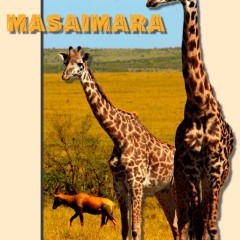 「PopAGraph」～ポスター風にアレンジできる写真加工アプリのサムネイル