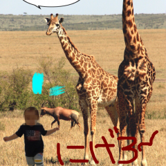 「フォトアレンジメント 無料版」～これひとつで写真の加工はおまかせ！「オールインワン」な写真加工アプリのサムネイル