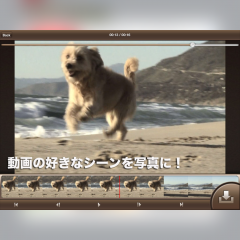 動画から写真を切り出す「Movie To lmage」アプリのサムネイル