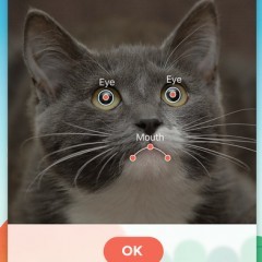 「おしゃべりペット」は、ペットがおしゃべりしてくれるビデオを作成できるアプリのサムネイル