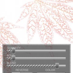 「線画風カメラ＋」何気ない1枚が、簡単ワンタッチでおしゃれな線画に変身するアプリのサムネイル