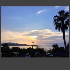 「Aviaryのフォトエディタ」アプリでプロ並みの写真を作ってみよう！のサムネイル