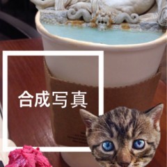 「Collage Maker : Photos Mixer & Creator」センス良いねと褒められちゃう！簡単にプロみたいな仕上がりの合成写真を作ろう♪のサムネイル