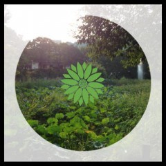 「ShapePic」で写真をクッキーの型抜きのようにくり抜いてみよう！のサムネイル