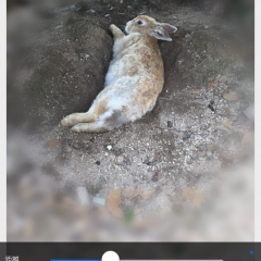 「ぼかし加工-モザイク写真加工と美肌加工でゆるふわな自撮りを美白もできるぼかしアプリ」必要な部分だけにモザイク、ぼかし加工ができるのサムネイル