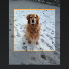 「PhotoJus Space FX - Lighting Effect Camera」で写真を手軽に宇宙っぽくしちゃおう！のサムネイル
