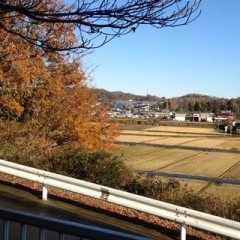 「輪郭カメラ」は、輪郭イメージが強調されたデッサンのような白黒画像を撮影できるアプリのサムネイル