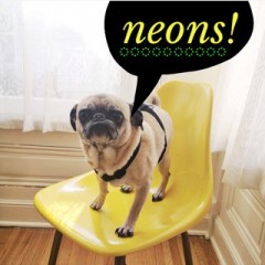 「A Beautiful Mess」大人女子たちが愛用する写真加工アプリのサムネイル