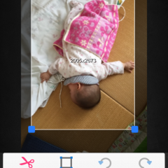 「Photo Rotate & Crop」簡単写真編集で狙い通りの写真にしよう！のサムネイル
